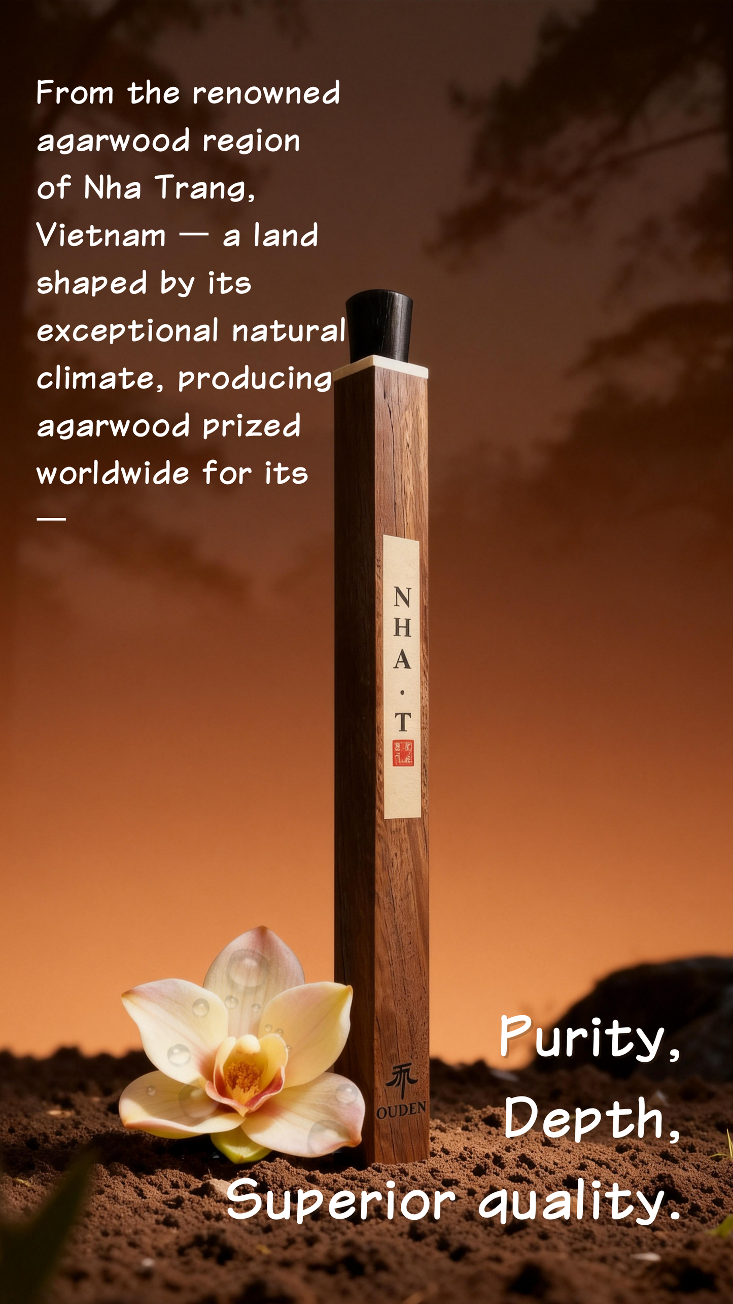 「 NHA · T 」Nha Trang Agarwood Incense Sticks